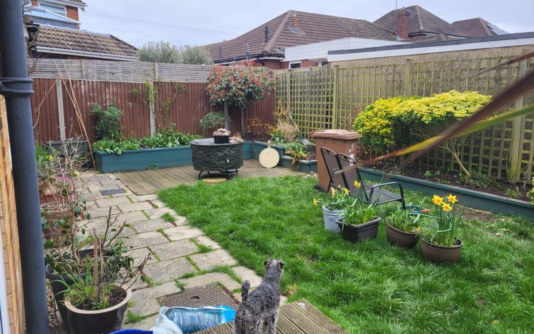 Residential re landscape, Guildford, Surrey